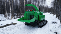 Broyeur de bois à capacité variable, broyeur de déchets de bois frais, broyeur d'arbres, moteur diesel, déchiqueteuse de bois portable, broyeur de déchets de bois