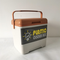 Coffre à glace en plastique portable 13L pour boissons en plein air