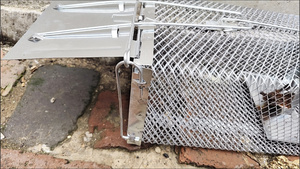 Piège-cage humain pour attraper des rongeurs vivants, en fer, pour souris et rats, pour <span class=keywords><strong>la</strong></span> <span class=keywords><strong>maison</strong></span> et le jardin, réutilisable, pour le contrôle des nuisibles et <span class=keywords><strong>la</strong></span> capture avec appât - Product Image 6