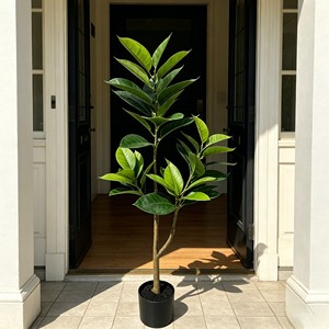 Bonsai Rubber <b>Tree</b> Indoor Landscape Decoration Simulation Plant Decoration Simulation Leaves - Product Image 5