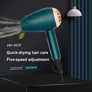 Trung Quốc Chức Năng Lạnh Không Khí 5kw Không Chổi Than 12V Dc Động Cơ Du Lịch Máy Sấy Tóc Với Lược Máy Sấy Tóc Và Volumizer Hot Air Brush - Product Image 3