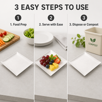 Assiette carrée jetable en pulpe de bagasse écologique de haute qualité, compostable, compatible micro-ondes, sans BPA, pour service alimentaire et fêtes