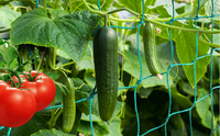 Filet de treillis de jardin en HDPE, écologique et non toxique, pour fleurs et légumes grimpants
