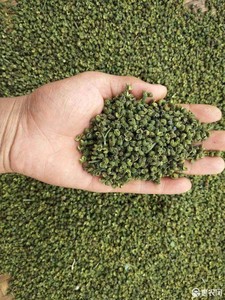 Pimienta Verde de Sichuan ZZH de Alta Calidad para Exportación, Especias Secas <span class=keywords><strong>Picantes</strong></span> en Gránulos, Calidad Cruda, Certificación Halal, Hierbas y Especias - Product Image 4