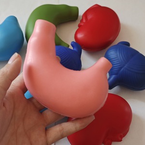 Poliuretana busa manusia Organ otak paru-paru Model bola tekanan hati Pendidikan perut Prop dekompresi bola stres - Product Image 2