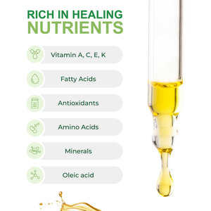 Aceite de Moringa Puro OEM/ODM, Rico en Antioxidantes, Protección UV, Líquido Oral, Nutrición Capilar, Salud del Cabello, Energía, Metabolismo, Inmunidad - Product Image 6