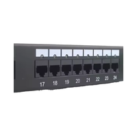 Panneau de brassage vierge en rack CAT6 24 ports avec barre arrière Système de gestion des câbles efficace pour les applications de connecteur