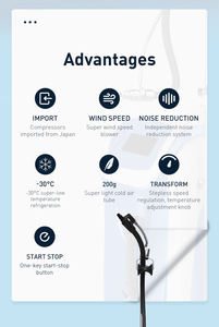 Appareil de refroidissement cutané à air froid professionnel -30°C 1500W Cryo 6, système de soulagement de la douleur pour traitement au laser, élimination des tatouages, salon - Product Image 4