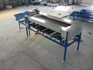 Macchina automatica ad alte prestazioni per il lavaggio e la classificazione dei pomodori ciliegia piccoli e medi/<span class=keywords><strong>ciliegie</strong></span>/cipolle al limone - Product Image 3