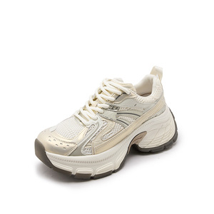 Chaussures de sport décontractées argentées 2026 - Nouvelles chaussures de sport épaisses en maille à lacets pour femmes - Chaussures à lacets - Product Image 5