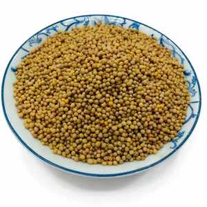 Semillas de Mostaza Amarilla Naturales, Frescas y Crudas al por Mayor - Product Image 2