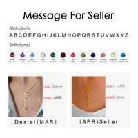 Collier personnalisé EMANCO avec pendentif long, chaîne classique, bijoux faits à la main en acier inoxydable pour femme, ne ternit pas