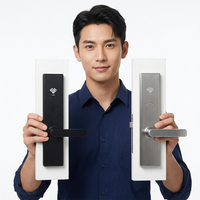 Fabricante de Cerraduras para Puertas, Sistema de Software de Gestión Hotelera, Llaves y Tarjetas de Acceso, Tarjeta RFID, Cerradura para Puerta de Habitación de Hotel