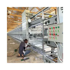 Chine Cage de poules pondeuses entièrement automatique de type H pour les pondeuses Fabricants