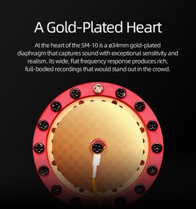 Pour Takstar SM-10 Microphone d'<span class=keywords><strong>enregistrement</strong></span> de bureau professionnel <span class=keywords><strong>Home</strong></span> <span class=keywords><strong>Studio</strong></span> micro à condensateur filaire pour équipement d'<span class=keywords><strong>enregistrement</strong></span> vocal - Product Image 2