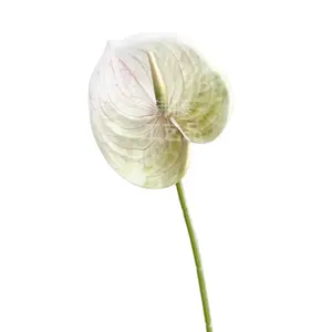 Decoración Kwiaty Sztuczne Flores Simulación Flor Hoja Real Touch Anthurium Planta Seda Artificial Anthurium