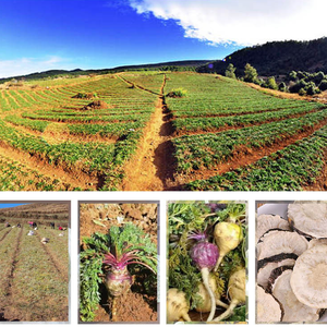 Maca Protein tozu kilo Gainer diyet takviyesi erkekler ve kadınlar için kas enerji artışı inşa - Product Image 5