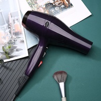Souffleur de cheveux de salon ABS 2000W Sèche-cheveux ionique à température constante OEM pour la maison