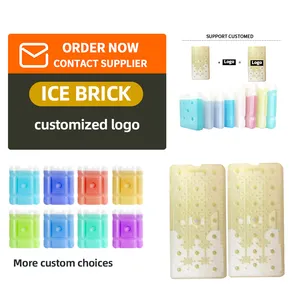 Voedsel Verpakking Vriezer Koeler Gebruikt Ice Brick