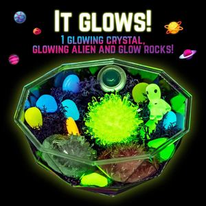 Kit de terrarium galactique pour faire pousser vos propres cristaux, idéal pour les débutants, créez une scène galactique avec des extraterrestres et une veilleuse LED - Product Image 5