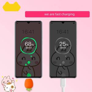 1m <span class=keywords><strong>USB</strong></span> Type-C nhanh chóng sạc cáp dễ thương phim hoạt hình Thiết kế nhanh chóng 5A sạc cho điện thoại IOS thiết bị và máy tính - Product Image 5