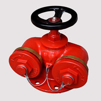 Petit hydrant d'incendie flexible SN65, armoire d'hydrant d'incendie 100 mm, 2 voies, extérieur, DN65 PN16, fonte ductile