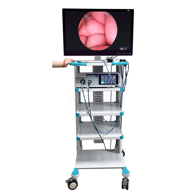 SY-PS048T_4K Fully HD Video Endoscope Camera All in One System 4K Image Quality