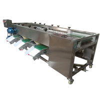 Sinaasappels Citroen Granaatappel Mango Sorteermachine Sorteermachine Aardappelroller Sorteermachine