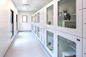 Contenitore per gatti con gabbia per gatti box al coperto con piattaforme e piccola casa - Product Image 4