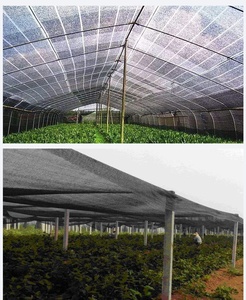 <span class=keywords><strong>Filet</strong></span> <span class=keywords><strong>d</strong></span>'<span class=keywords><strong>ombrage</strong></span> agricole en HDPE stabilisé aux UV pour serre - Product Image 3