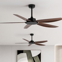Ventilateur de plafond LED moderne et simple, à fréquence variable, en fer, avec télécommande, pour usage domestique, commercial, restaurant et salon, résistant aux vents forts