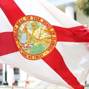Bendera Amerika Serikat Florida Bendera Mobil Sisi Ganda 3X5 Kaki Tiga Lapis Bendera Tiang Mobil Poliester