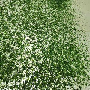 Venta al por mayor algas Ulva escamas secas <span class=keywords><strong>AOSA</strong></span> Aonori - Product Image 6