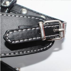Fabriek Outlet Hot Sale Anti-Bite Klinknagelbescherming Intrekbare Hondenriem Kraag - Product Image 2