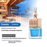Diffuseur d'huiles essentielles en verre miniature personnalisé en gros, aromathérapie, désodorisant de voiture longue durée, parfum liquide, rétroviseur