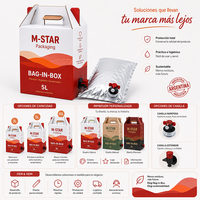 Conteneur d'emballage liquide Bag-in-Box 5L 10L 20L avec robinet distributeur – Vente en gros directe usine