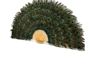 Peacock lông nhuộm Mô Hình DIY Wedding party Carnival trang trí nội thất Nguồn cung cấp nghệ thuật bán buôn - Product Image 2