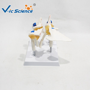 4 - Product Image 3