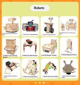 Kit d'expériences scientifiques en bois STEM, modèle de physique à construire soi-même pour l'éducation scientifique des enfants, vente en gros - Product Image 6