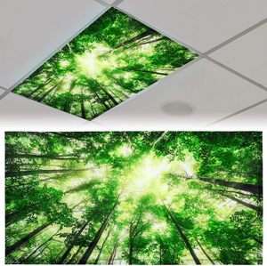 Cubierta para Lámpara Fluorescente con 10 Imanes para Techo, Filtros Magnéticos para Lámparas de Aula, Oficina, Decoración para Lámparas Colgantes (Cielo Azul) - Product Image 2