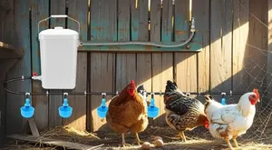 Bebedero Automático para Pollos con Manguera Azul de 12L (3 Galones) - Product Image 6