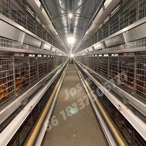 Cages pour poulets <span class=keywords><strong>de</strong></span> chair en forme <span class=keywords><strong>de</strong></span> H à trois couches élevages avicoles <span class=keywords><strong>de</strong></span> poules pondeuses Cadre en <span class=keywords><strong>cage</strong></span> <span class=keywords><strong>de</strong></span> <span class=keywords><strong>transport</strong></span> <span class=keywords><strong>de</strong></span> poulets Shougang - Product Image 1
