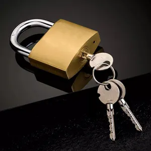 새로운 고품질 자물쇠 샘플 사용 가능한 자물쇠 황동 그린 크로스 키 철 자물쇠