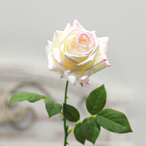 <span class=keywords><strong>Rosa</strong></span> Artificiale <span class=keywords><strong>Turca</strong></span> Realistica Best Seller per Decorazioni Casa, Hotel, Matrimoni, Composizioni Floreali e Oggetti di Scena Fotografici - Product Image 1