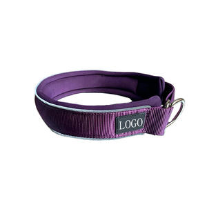 ปลอกคอสุนัขแบบสวม สายรัดไนลอนสะท้อนแสงแบบปรับแต่งได้ บุด้วยโฟมนุ่มพิเศษ - Product Image 2