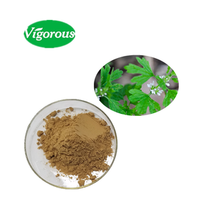 Marrube, медицинские услуги, чистые бесплатные образцы, китайские поставки в наличии, экстракт маррубия <span class=keywords><strong>Vulgare</strong></span>, порошок - Product Image 2