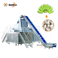 Automatische industriële bananen- en plantain-schilmachine, 5T/H, hoge efficiëntie, fruitenschilmachine, stoomschiller