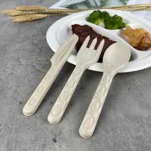 Abbaubares biologisches natürliches Bagasse-Besteckset Zuckerrohr-Messer gabel