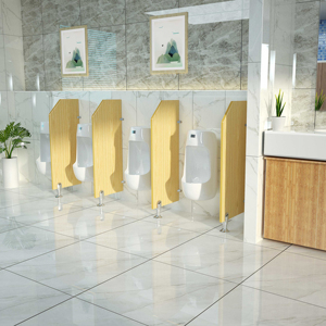 Thiết kế hiện đại chất lượng cao phòng tắm nơi để tiểu ngăn nhà máy-sản xuất riêng tư nhà vệ sinh phân vùng Bảng điều chỉnh cho các trường học bệnh viện sử dụng - Product Image 5