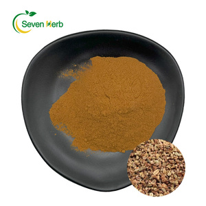 Pó de Extrato de Fruta <span class=keywords><strong>Cnidium</strong></span> 100% Puro, Suplemento de Saúde 10:1 20:1, Extrato de Fructus Cnidii para Cuidados Pessoais Masculinos - Product Image 1